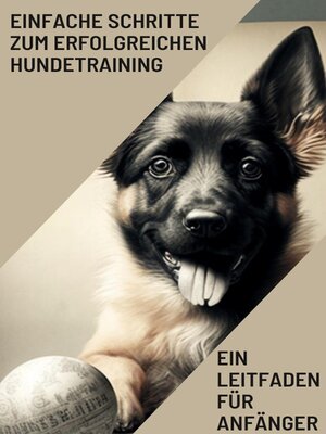 Ein Leitfaden für Anfänger - ebook